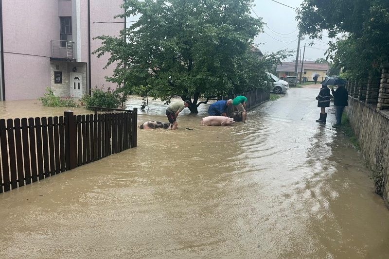 Prošlonedeljne poplave, foto: Opština Mionica